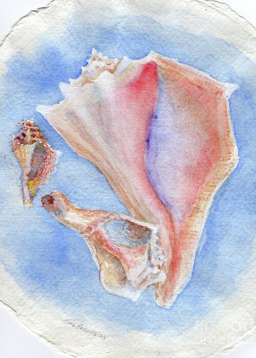Conch Shells Greeting Card featuring the painting Three Conch Shells 1 by Doris Blessington