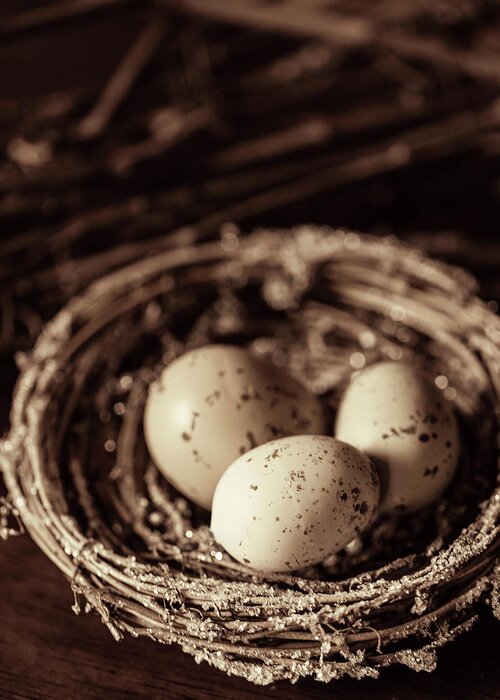Eggs Greeting Card featuring the photograph Three Eggs in a Nest by Rebecca Cozart