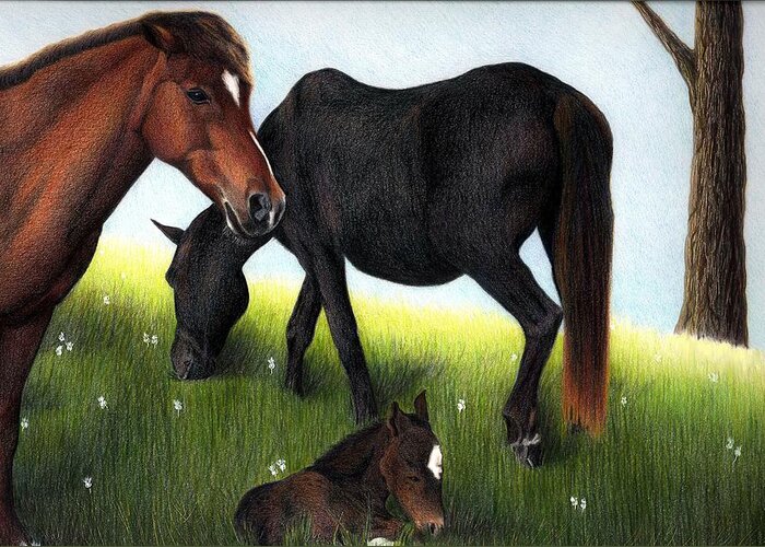 Horses Greeting Card featuring the drawing Three Horses by Danielle R T Haney