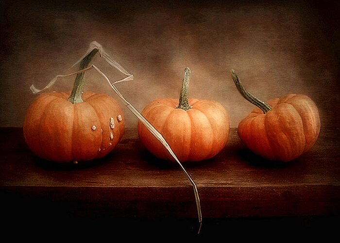 Pumpkins Greeting Card featuring the photograph Three Little Pumpkins by Louise Kumpf
