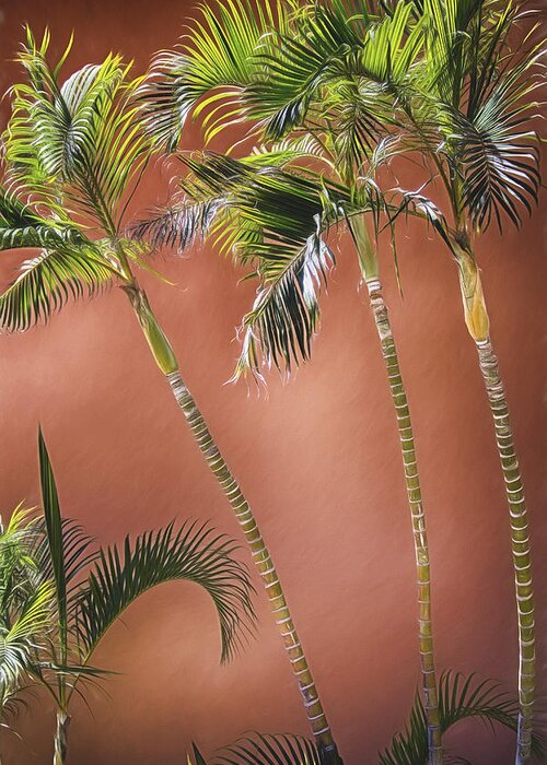 Palm Trees Greeting Card featuring the photograph Three Palms by Pamela Steege