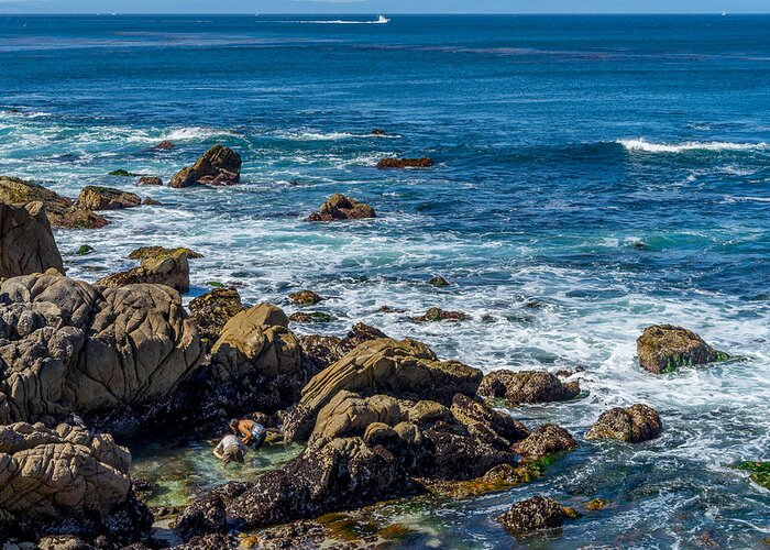 Monterey Greeting Card featuring the photograph Tide Pooling by Derek Dean