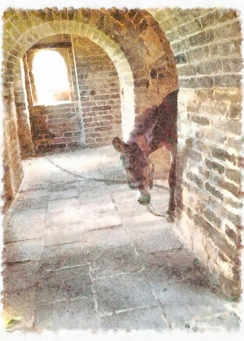Donkey Greeting Card featuring the photograph Tied donkey in brick structure by Ashish Agarwal