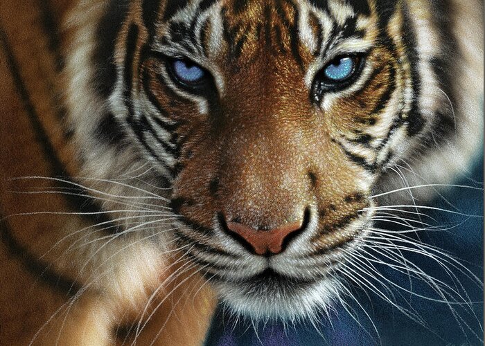 Tiger Art Greeting Card featuring the painting Tiger - Blue Eyes by Collin Bogle