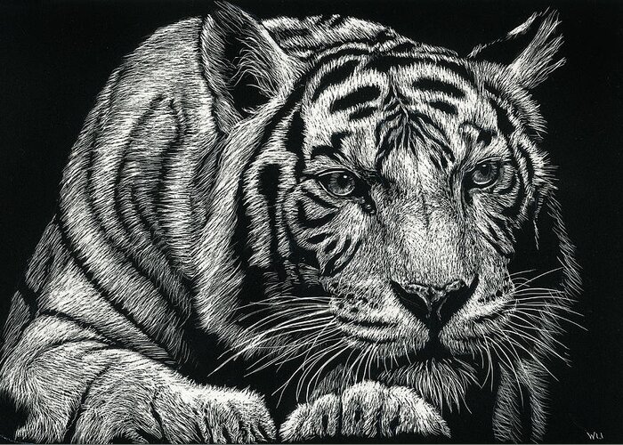 Tiger Greeting Card featuring the drawing Tiger Pause by William Underwood