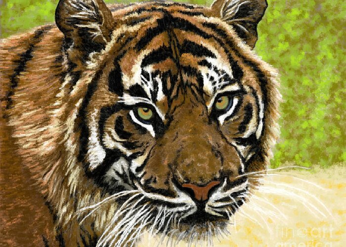 Wildlife Greeting Card featuring the painting Tiger Smiles by Jackie Case