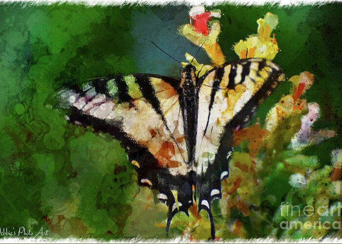 Nature Greeting Card featuring the photograph Tiger Swallowtail Butterfly 5 by Debbie Portwood