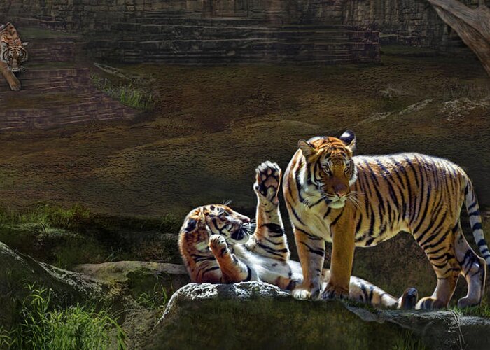 Tiger Greeting Card featuring the digital art Tigers In The Night by Thanh Thuy Nguyen