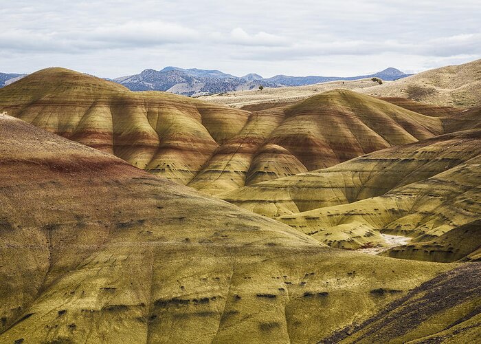 Painted Hills Greeting Card featuring the photograph Time in Layers by Belinda Greb