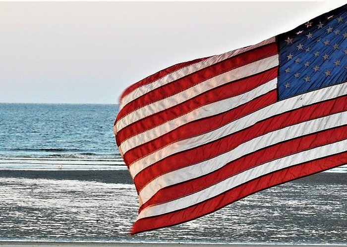 United States Of America Greeting Card featuring the photograph To Shining Sea by Jan Gelders