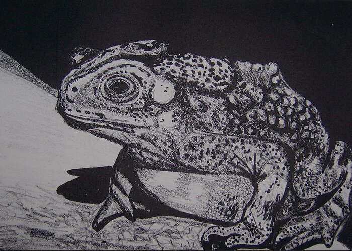 Lithograph Greeting Card featuring the mixed media Toad by Jude Labuszewski