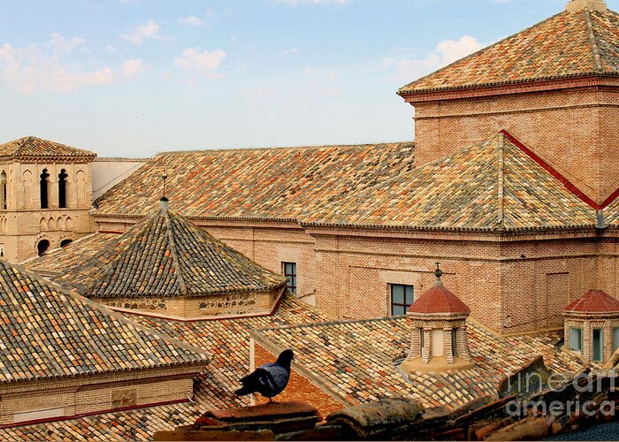 Unesco Greeting Card featuring the photograph Toledo Roofs and Dove by Nieves Nitta
