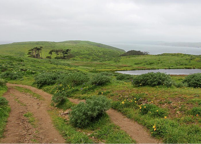 Tomales Point Greeting Card featuring the photograph Tomales Hike by Sierra Vance