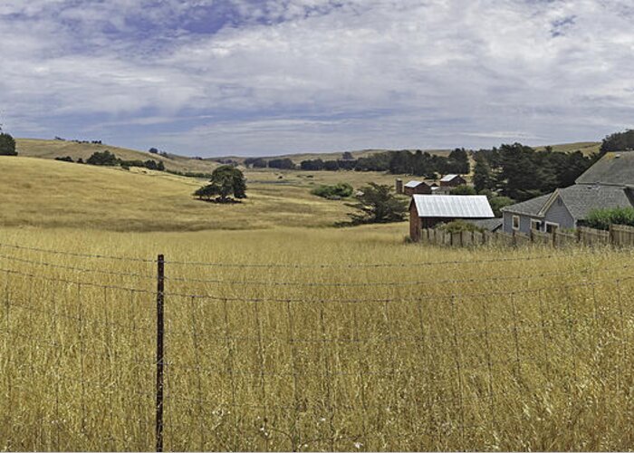 Landscape Greeting Card featuring the photograph Tomales Study by Joyce Creswell