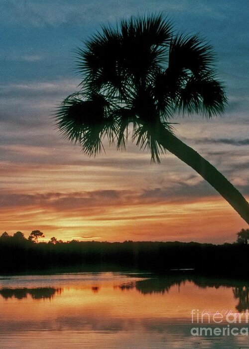 Sunset Greeting Card featuring the photograph Tomoka Blue Sunset by Dodie Ulery
