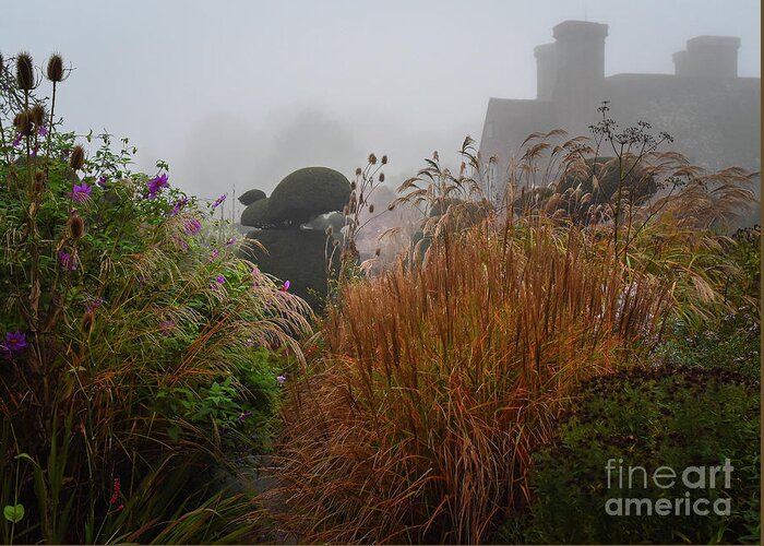 Topiary Greeting Card featuring the photograph Topiary Peacocks in the Autumn Mist, Great Dixter 2 by Perry Rodriguez