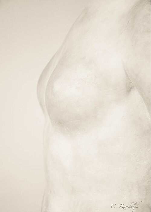 Nude Greeting Card featuring the photograph Torso Suggested by Cheri Randolph
