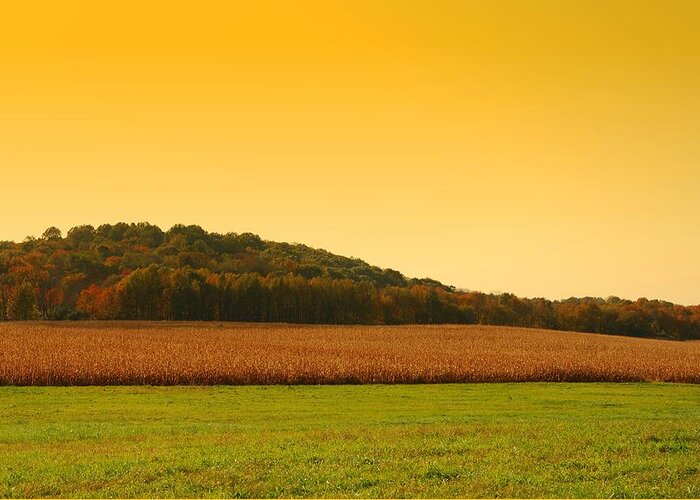 Autumn Landscapes Greeting Card featuring the photograph Touched By Golden Light - Battlefield Orchards by Angie Tirado