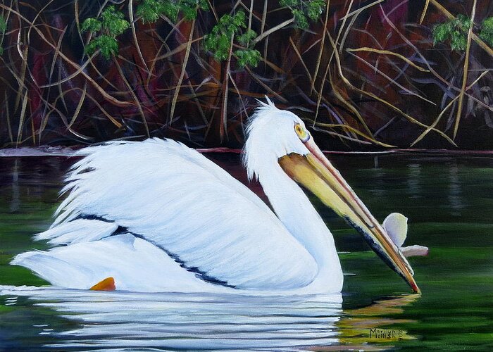 Pelican Greeting Card featuring the painting Touring Pelican by Marilyn McNish