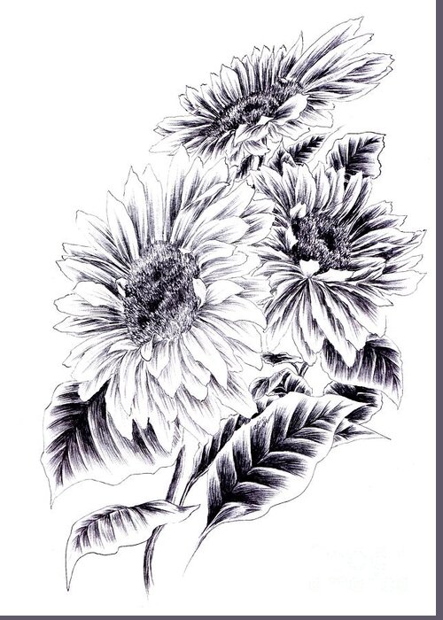 Sunflower Greeting Card featuring the drawing Towards the Light by Alice Chen