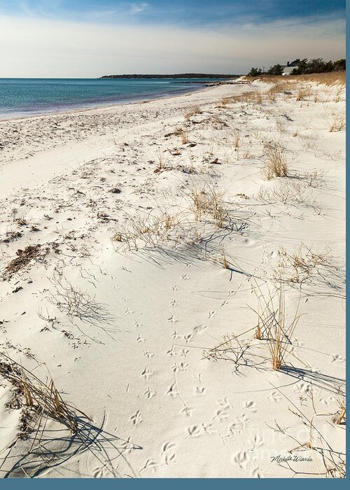 Tracks On The Beach Greeting Card featuring the photograph Tracks on the Beach by Michelle Constantine