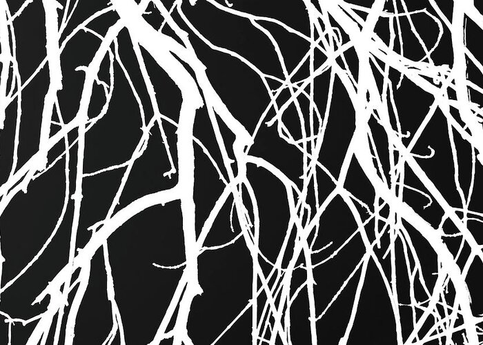 Tree Greeting Card featuring the photograph Tree Abstract BW by Mary Bedy