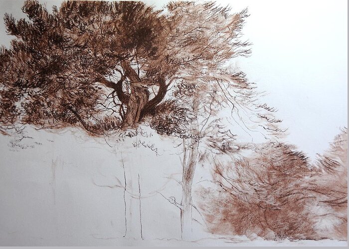 Wales Greeting Card featuring the drawing Trees near Offa's Dyke by Harry Robertson