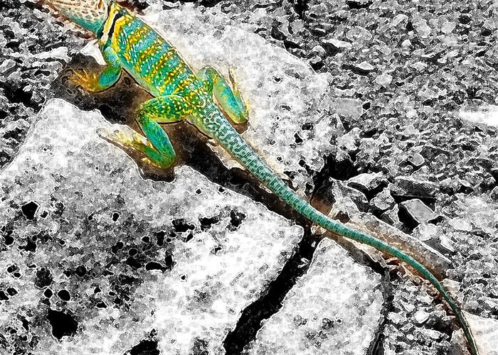  Lizards Greeting Card featuring the photograph Trippyguana by Kevin Munro