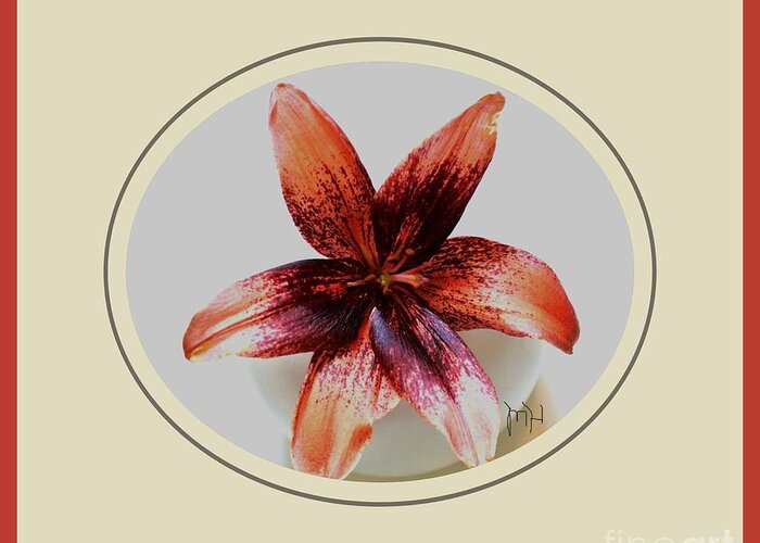 Photo Greeting Card featuring the photograph Tropical Lily by Marsha Heiken