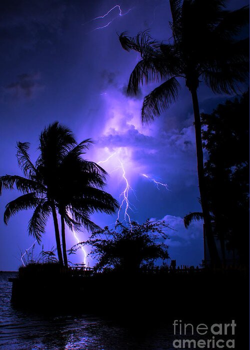 Lightning Greeting Card featuring the photograph Tropical Nights by Quinn Sedam