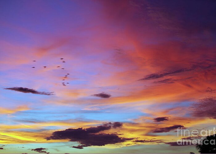 Inspiring Greeting Card featuring the photograph Tropical North Queensland Sunset Splendor by Kerryn Madsen-Pietsch