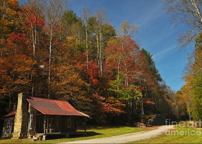 Cabin Greeting Card featuring the photograph Tucked Away in Fall by Randy Rogers