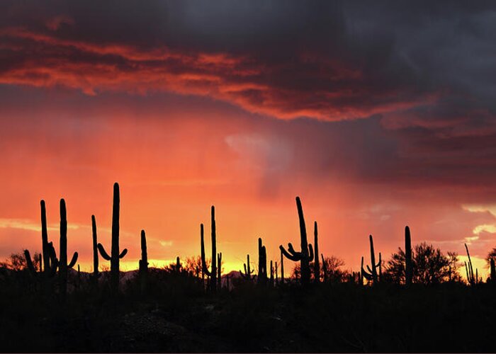 Tucson Greeting Card featuring the photograph Tucson Sunset with Rain by Jean Clark