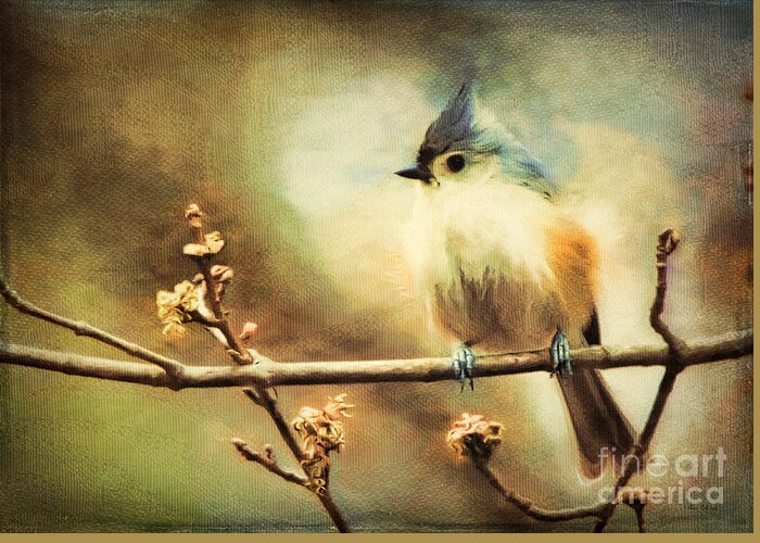 Tufted Titmouse Greeting Card featuring the digital art Tufted Titmouse Bird by Tina LeCour