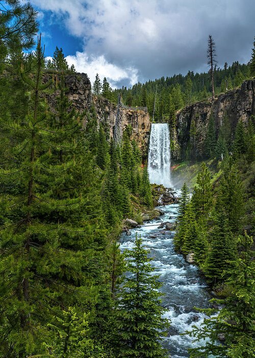  Greeting Card featuring the photograph Tumalo Falls by Bryan Xavier