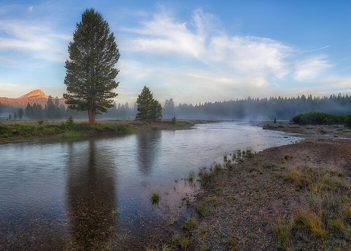 Tuolumne Greeting Card featuring the photograph Tuolumne Morrning by Anthony Michael Bonafede