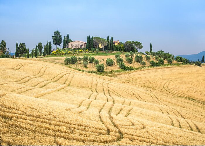 Center Italy Greeting Card featuring the photograph Tuscan hills by Stefano Termanini