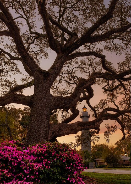 Architecture Greeting Card featuring the photograph Twilight at St. Simons Lighthouse by Chris Bordeleau
