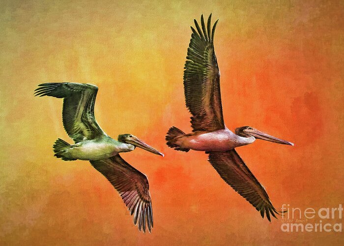 Pelicans Greeting Card featuring the painting Twin Flight by Deborah Benoit
