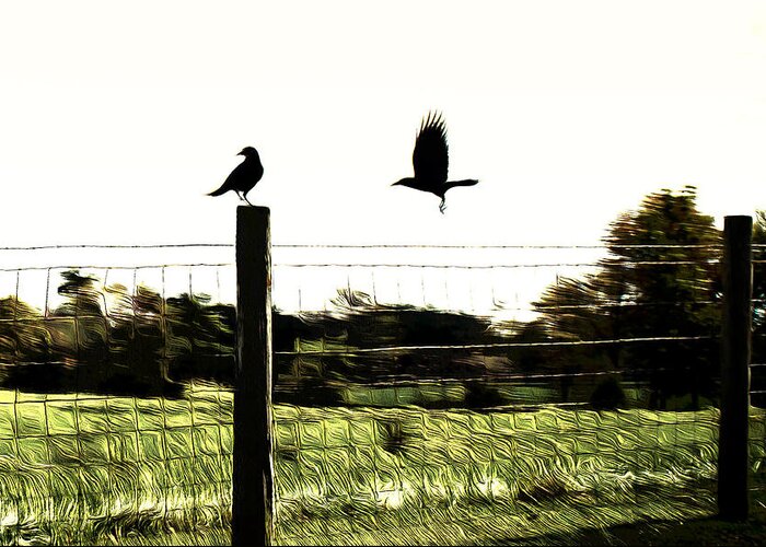 Bird Greeting Card featuring the photograph Two Birds by Carlee Ojeda