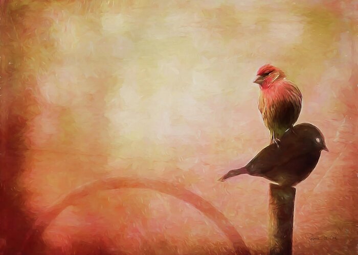 Two Birds In The Mist Greeting Card featuring the photograph Two Birds In The Mist by Bellesouth Studio