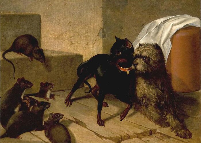Two Dogs Cowering Before Rats Greeting Card featuring the painting Two Dogs Cowering before Rats by MotionAge Designs