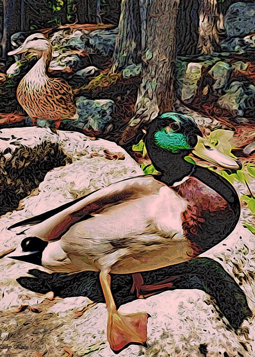 Maine Ducks Greeting Card featuring the photograph Ducks -Dynamic Duo by Kathy Kelly
