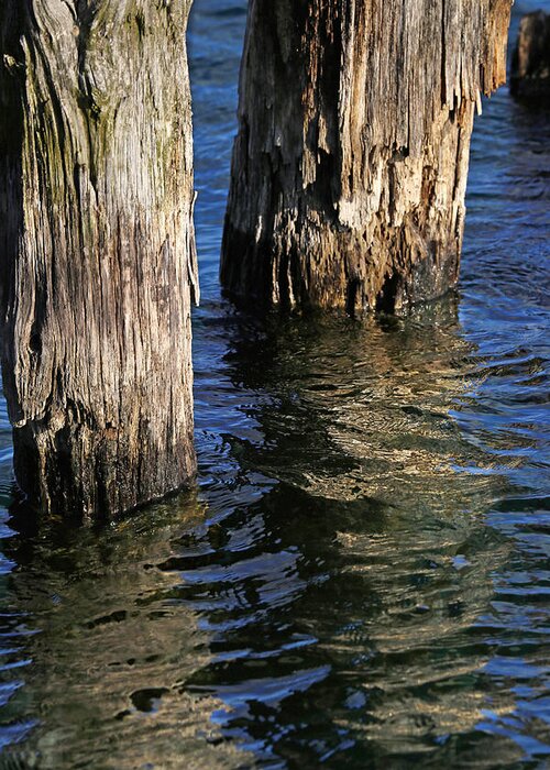 Pilings Greeting Card featuring the photograph Two Old Pilings 4 by Mary Bedy