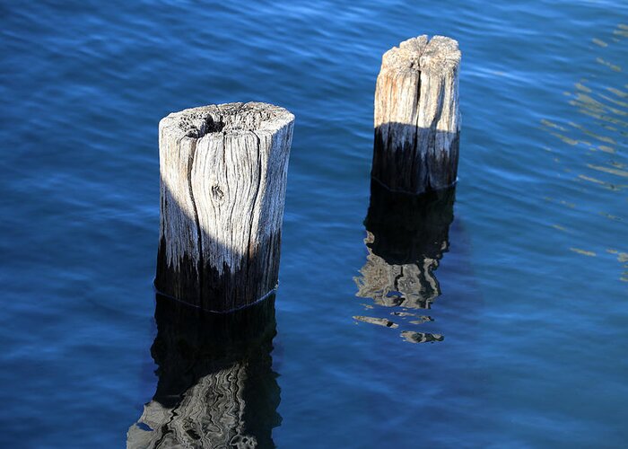 Pilings Greeting Card featuring the photograph Two Old Pilings with Reflections 2 by Mary Bedy