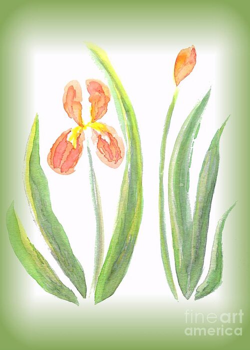 Art Greeting Card featuring the painting Two Orange Iris green frame by Delynn Addams