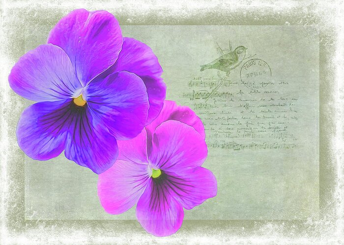 Pink Greeting Card featuring the photograph Two Pansies by Cathy Kovarik