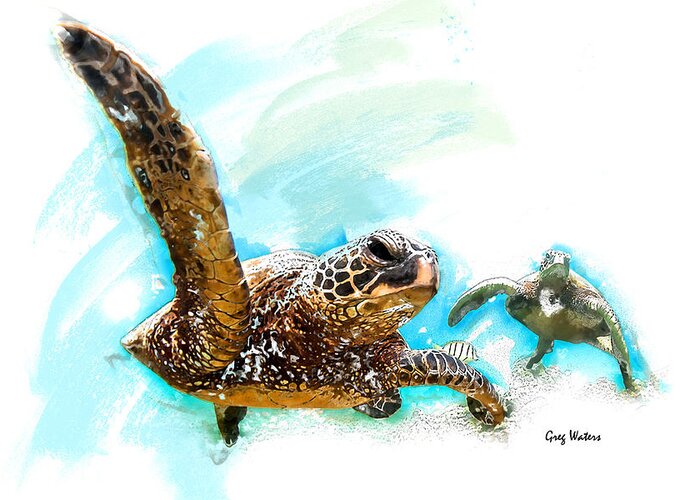 Turtle Greeting Card featuring the photograph Two Turtles by Greg Waters