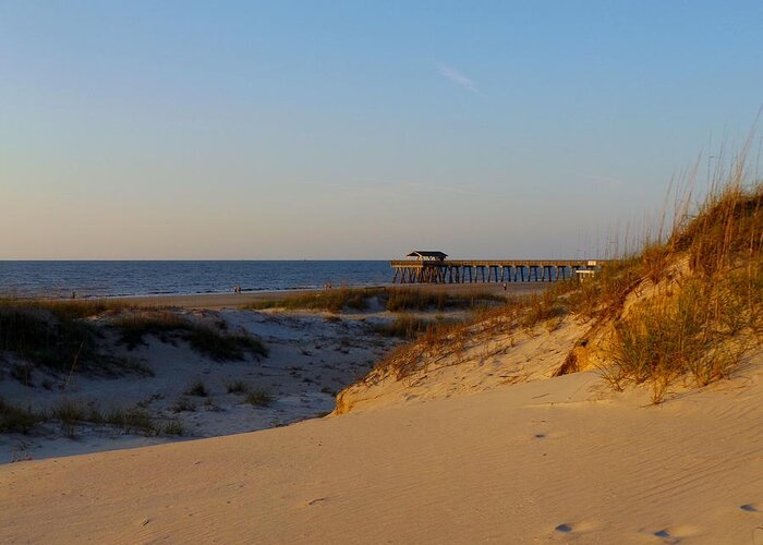 Savannah Greeting Card featuring the photograph Tybee Dunes by Julie Pappas