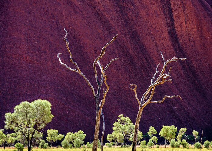 Uluru Greeting Card featuring the photograph U L U R U by Andrew Dickman